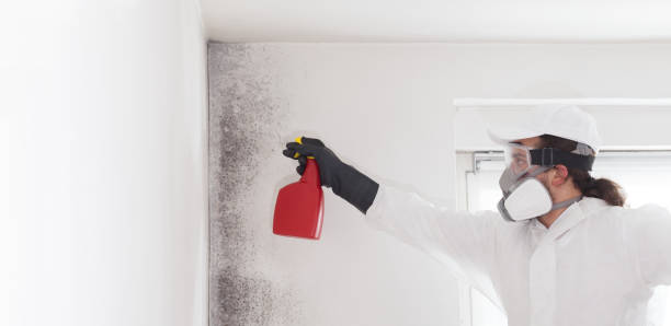Best Mold Remediation  in Roland, AR